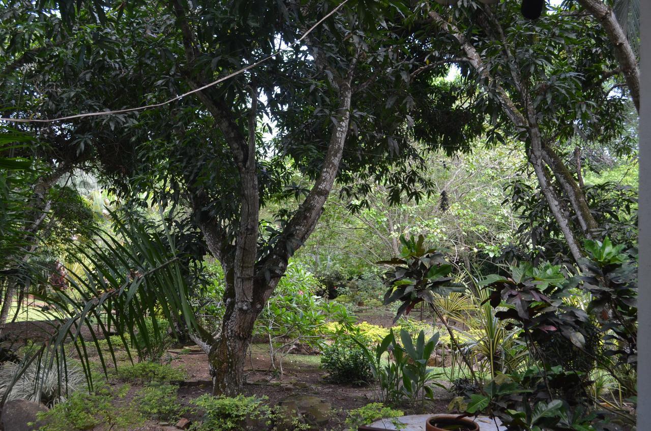 Hotel Amanwana Ecofinca à Melgar Extérieur photo