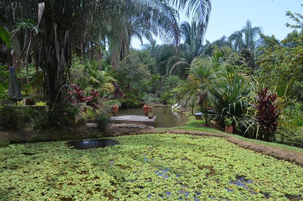 Hotel Amanwana Ecofinca à Melgar Extérieur photo