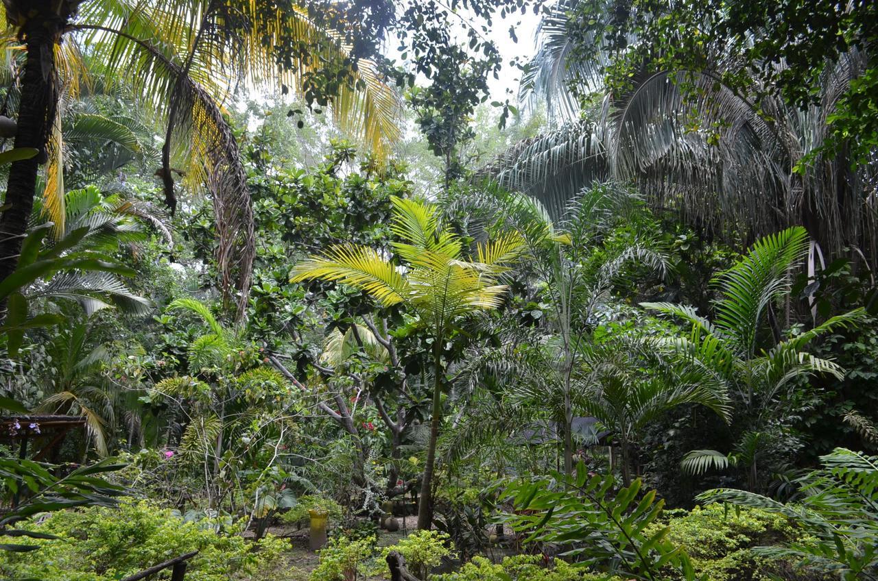 Hotel Amanwana Ecofinca à Melgar Extérieur photo