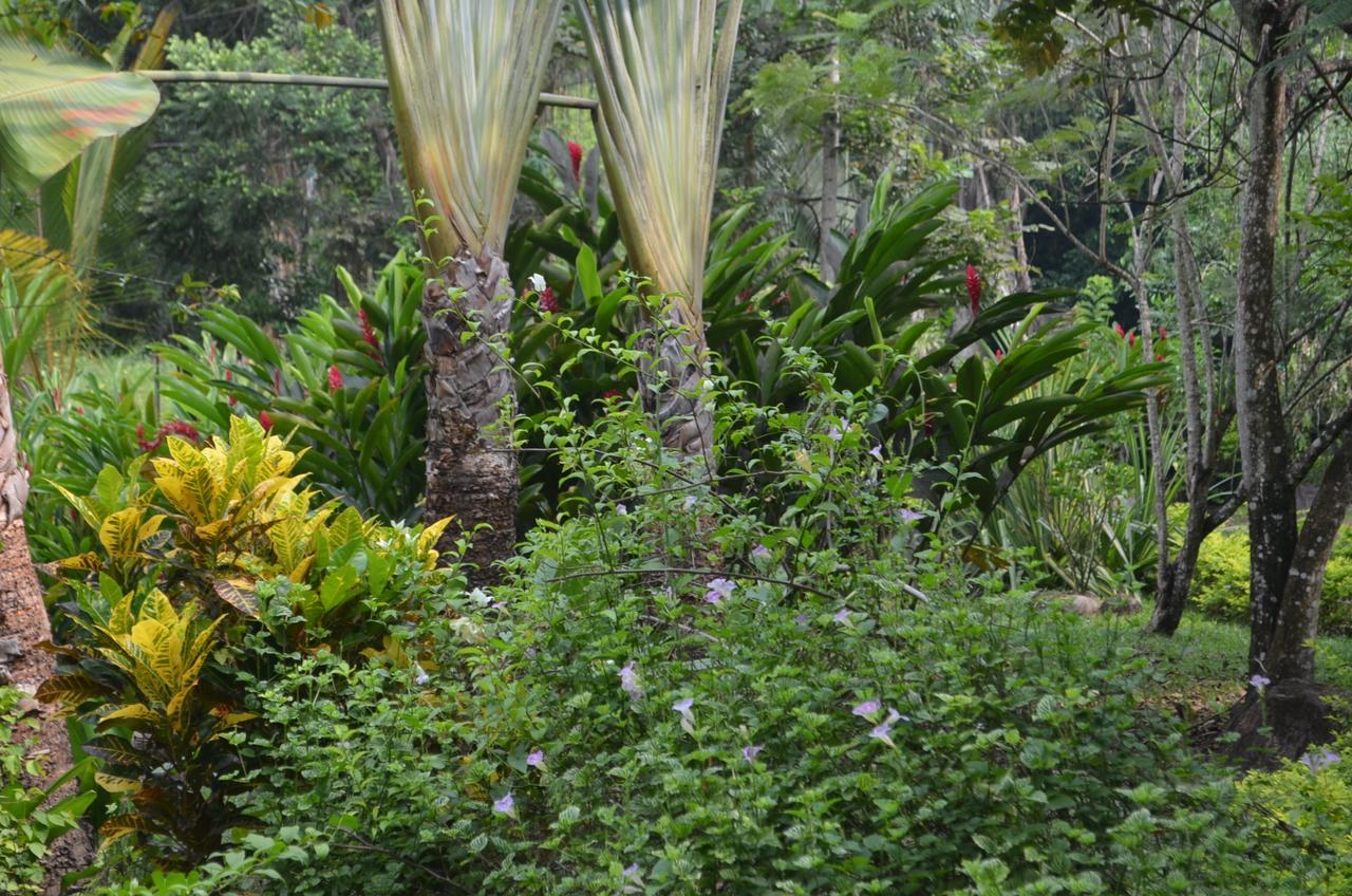 Hotel Amanwana Ecofinca à Melgar Extérieur photo