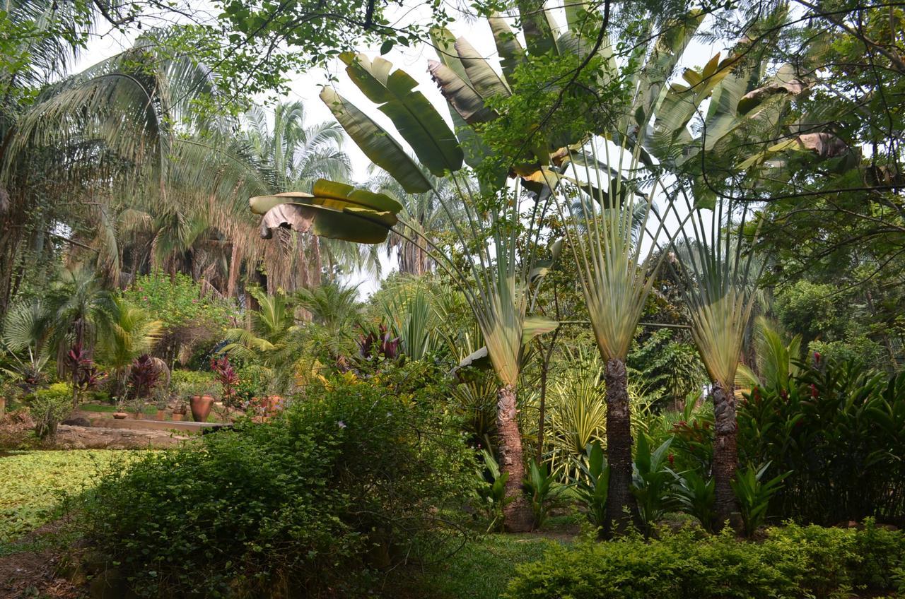 Hotel Amanwana Ecofinca à Melgar Extérieur photo