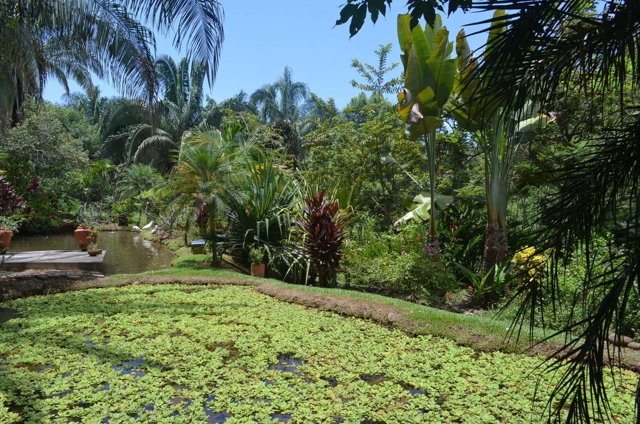 Hotel Amanwana Ecofinca à Melgar Extérieur photo