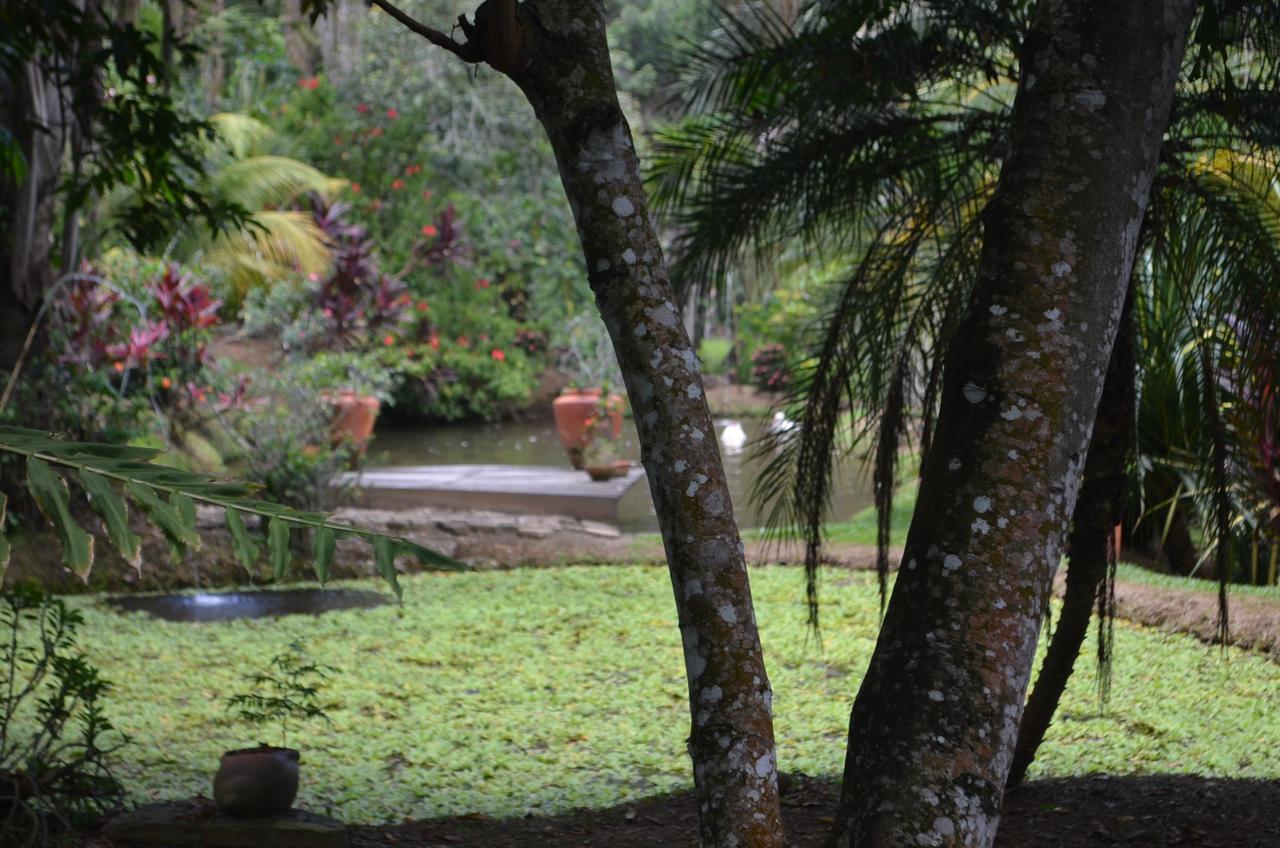 Hotel Amanwana Ecofinca à Melgar Extérieur photo