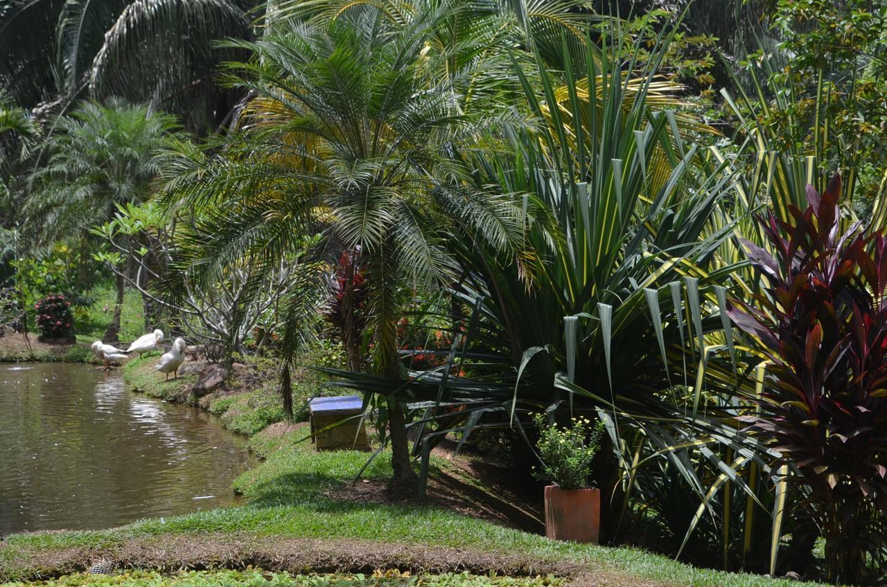 Hotel Amanwana Ecofinca à Melgar Extérieur photo