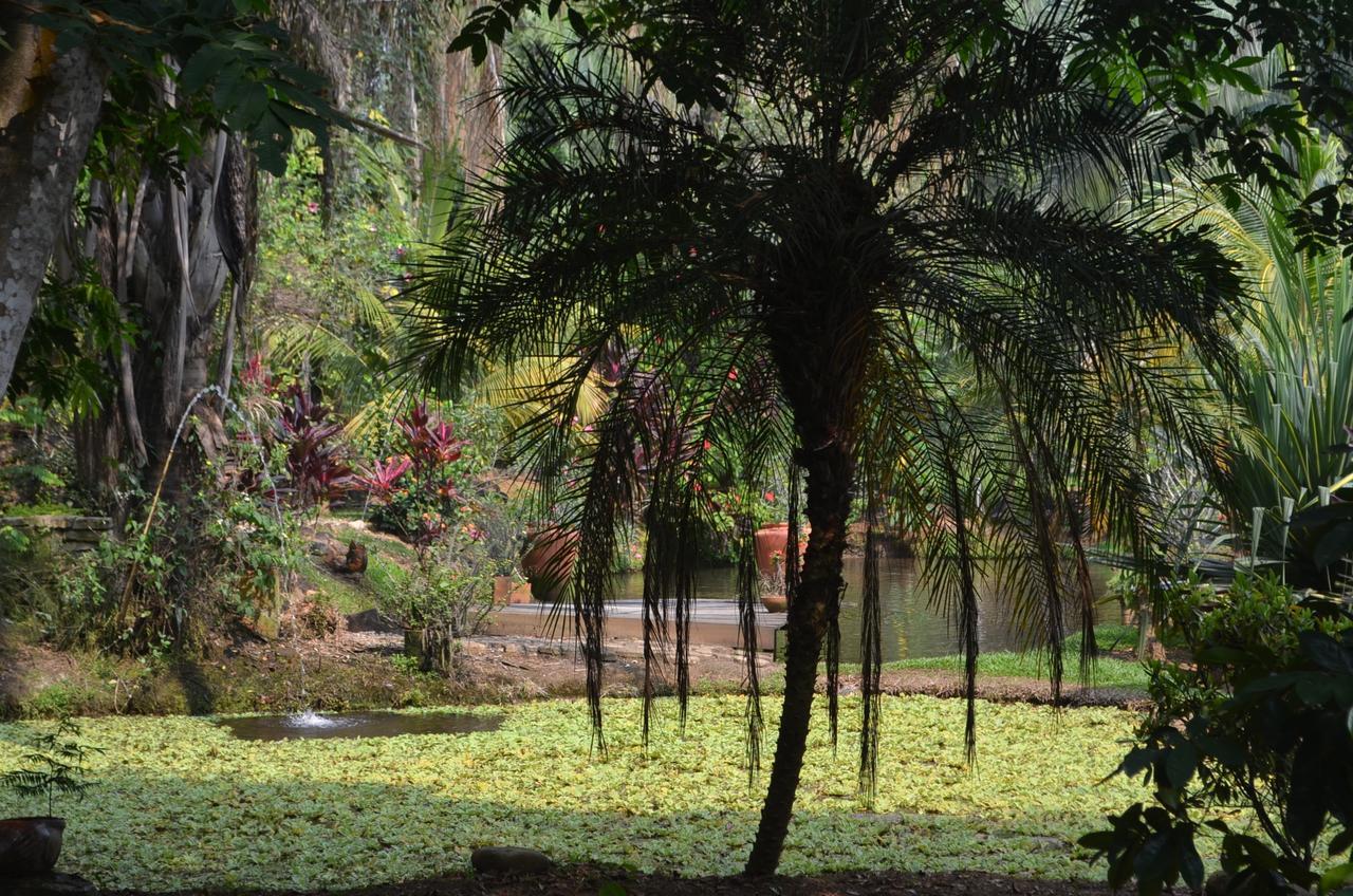 Hotel Amanwana Ecofinca à Melgar Extérieur photo