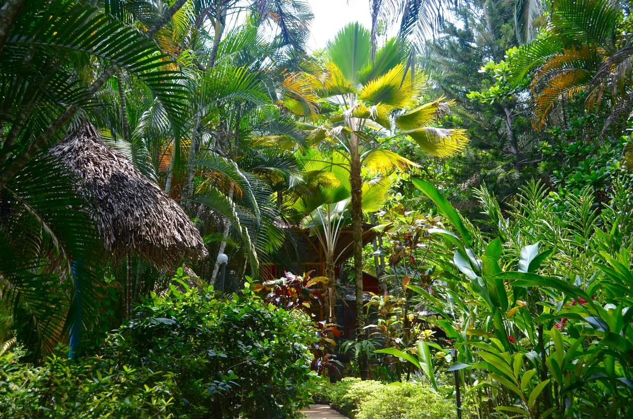 Hotel Amanwana Ecofinca à Melgar Extérieur photo