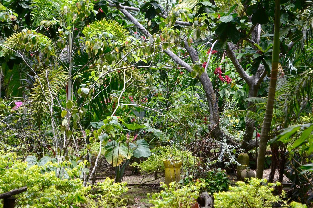 Hotel Amanwana Ecofinca à Melgar Extérieur photo